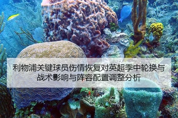 利物浦关键球员伤情恢复对英超季中轮换与战术影响与阵容配置调整分析